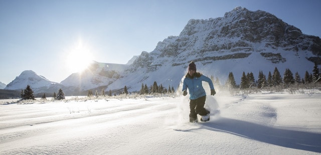 Banff snowshoe